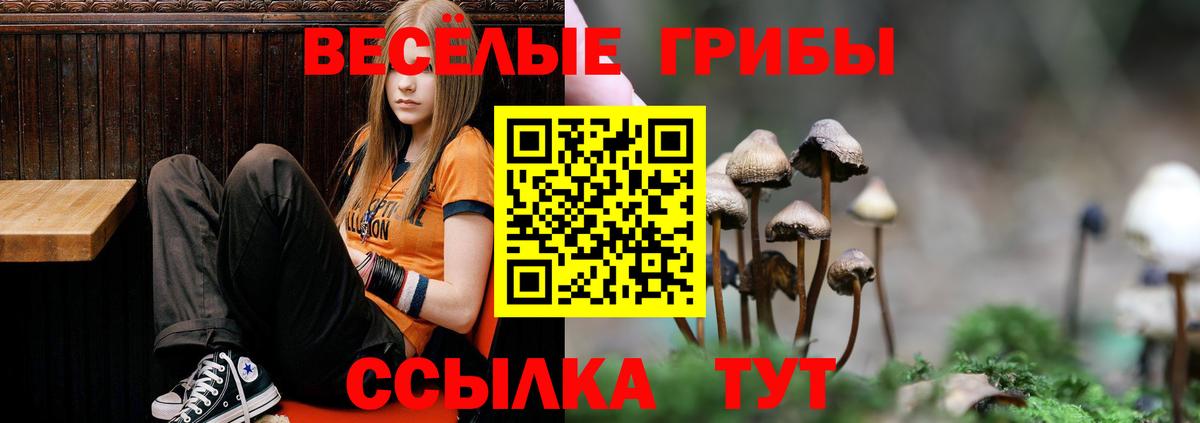 Щёкино  Галлюциногенные грибы мицелий  Псилоцибиновые грибы Psilocybe  Вход с VPN 